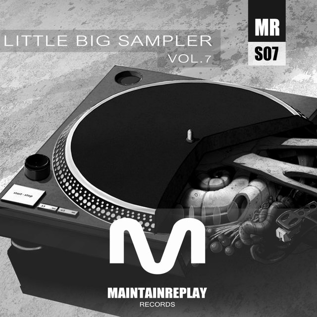 Little Big Sampler Vol. 7
