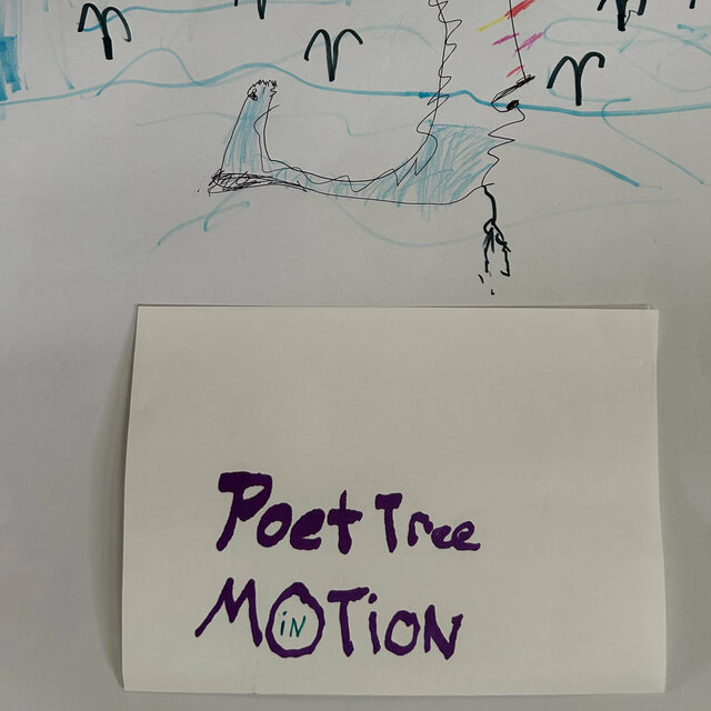 Poet Tree In Motion