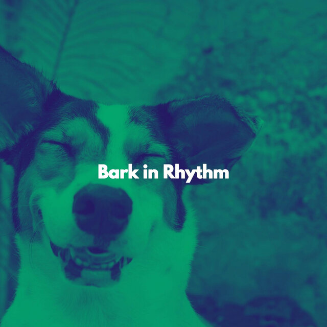 Bark in Rhythm
