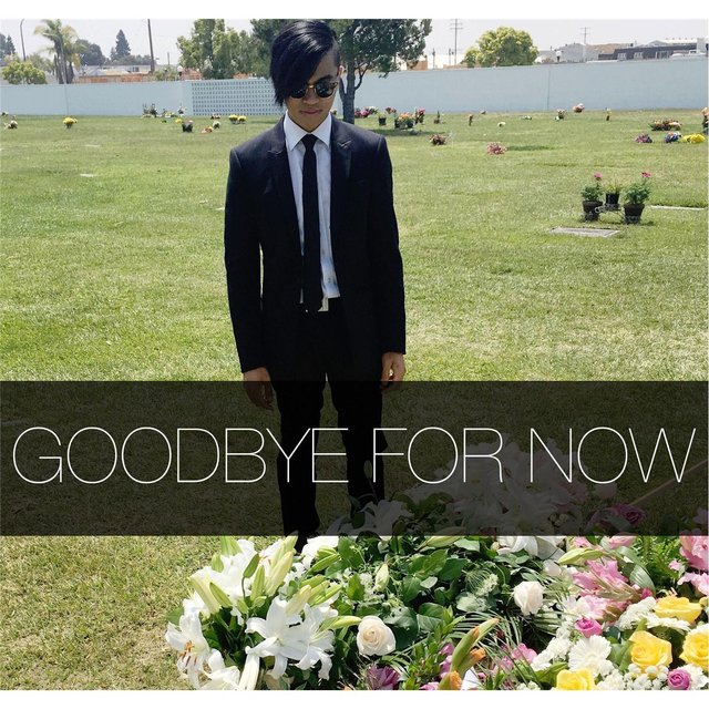 Goodbye for Now
