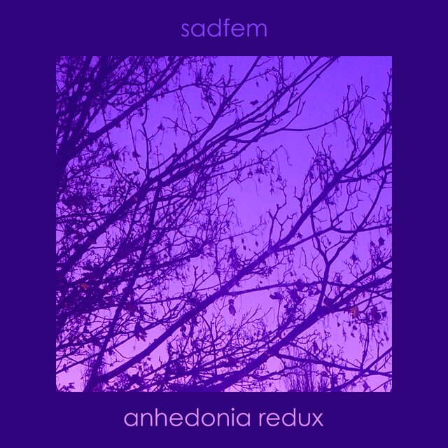 anhedonia redux