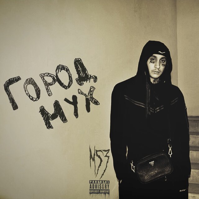 Город мух