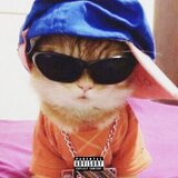 el gato (feat. MONSEYO)