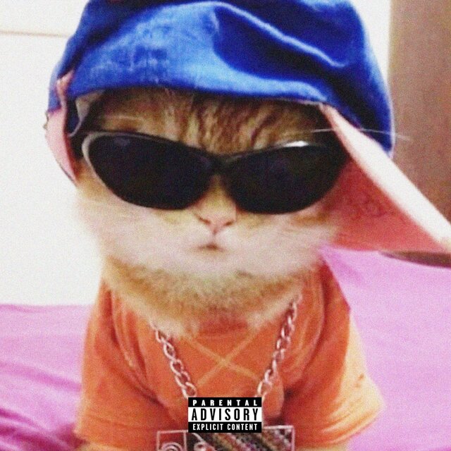el gato (feat. MONSEYO)