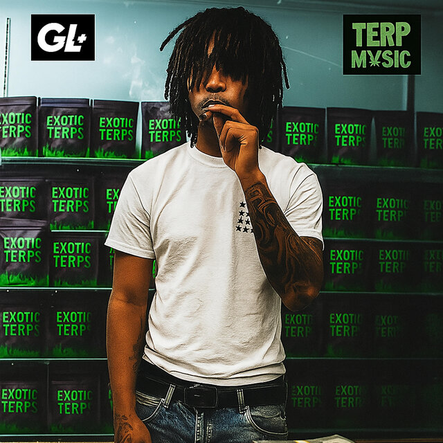Terp music