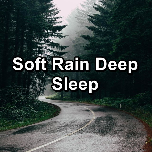 Soft Rain Deep Sleep