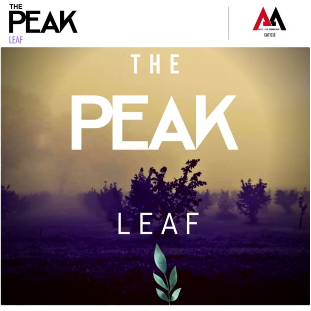 Leaf