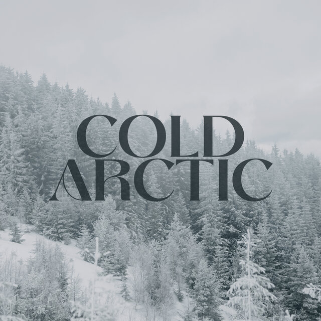 Cold Arctic: Winter Storm Ambience