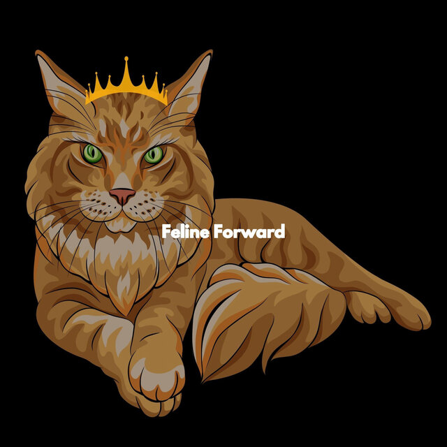 Feline Forward