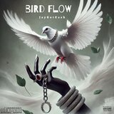 Bird Flow