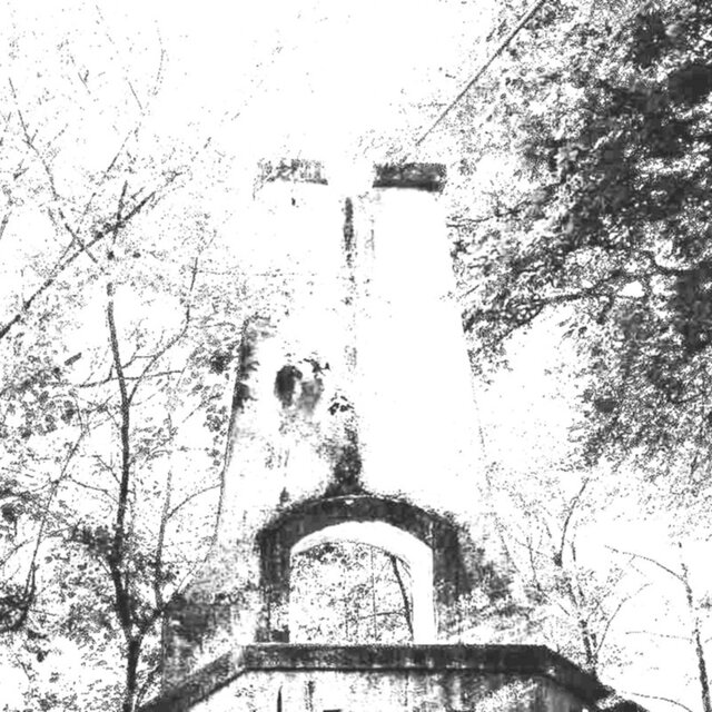 The Vestige