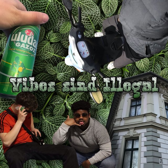 Vibes sind Illegal