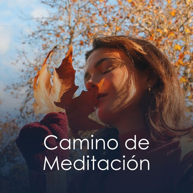 Camino de Meditación