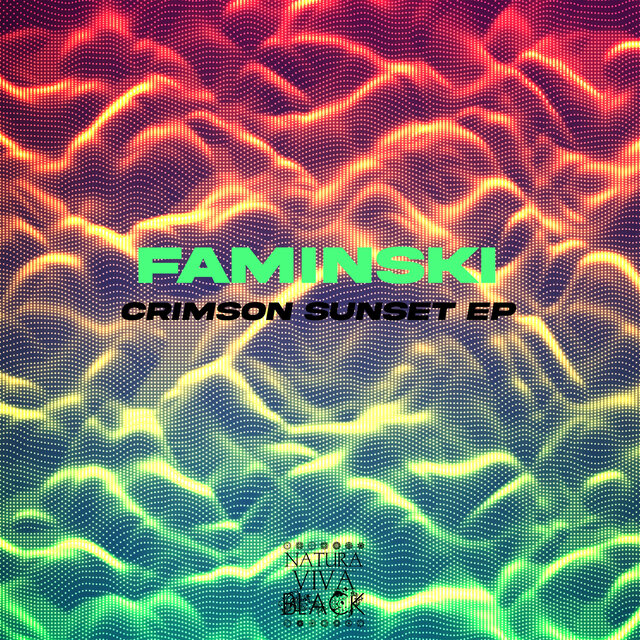 Cover art for album  by Faminski