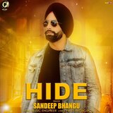 Hide