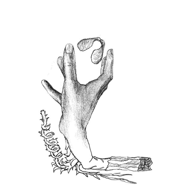 Roots of the Unseen - Separation I