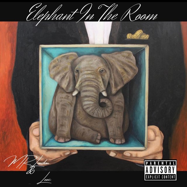 Elephant In The Room (feat. Leec)