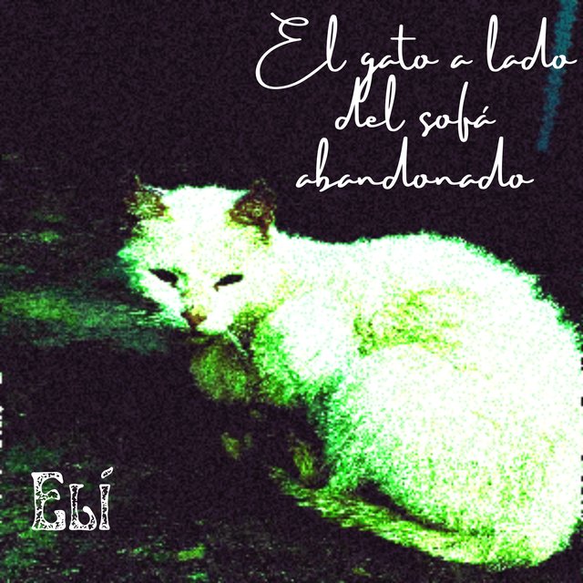 El gato a lado del sofá abandonado