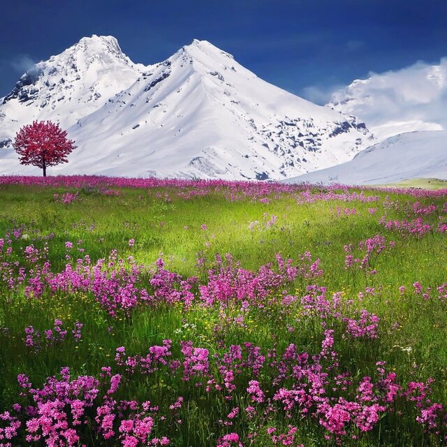 Spring Love