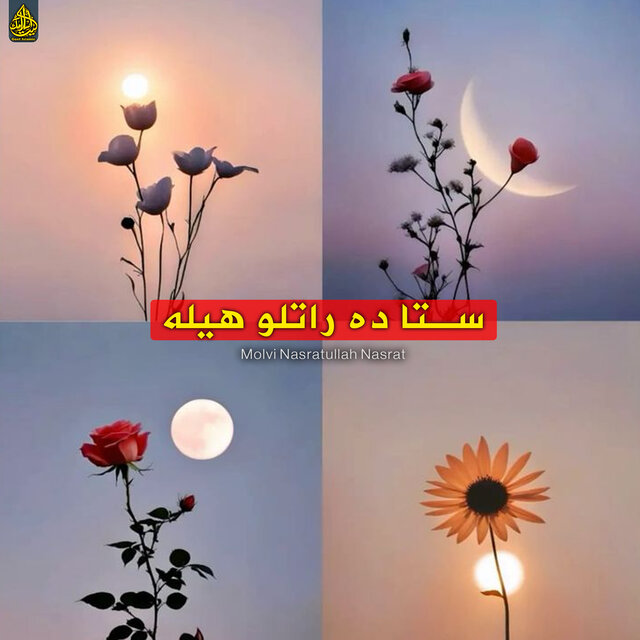 ستا ده راتلو هیله