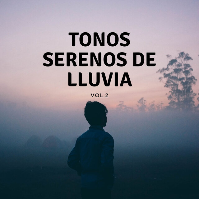Tonos Serenos De Lluvia, Vol. 2