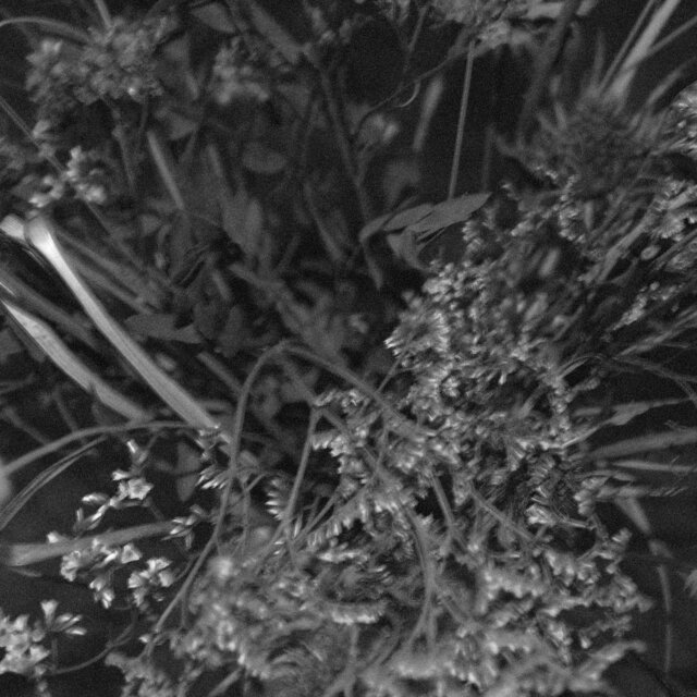 FLUX II