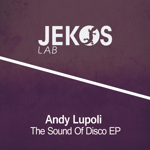 The Sound Of Disco