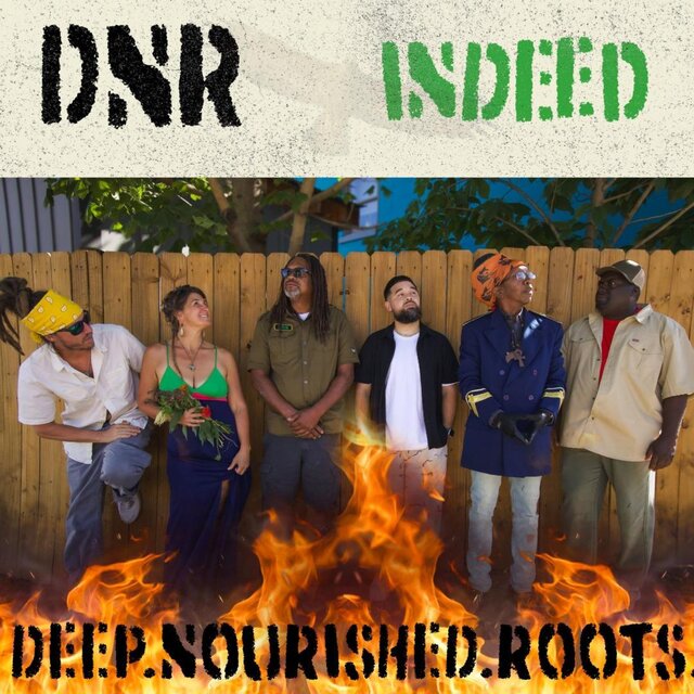 Cover art for album  by DNR