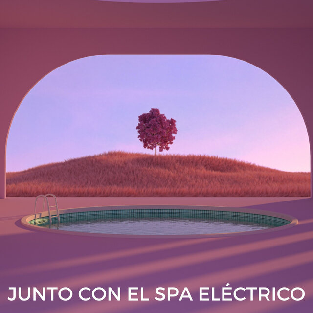 Junto Con El Spa Eléctrico