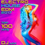 A Fantasy Love Affair (Electro House Remix) [Remastered] (feat. a Real Hate & De Large)