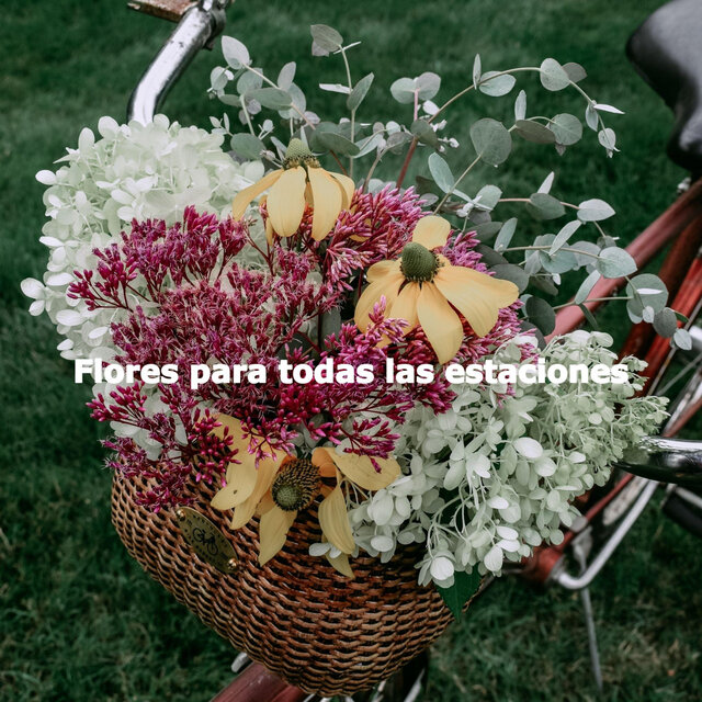 Flores para todas las estaciones