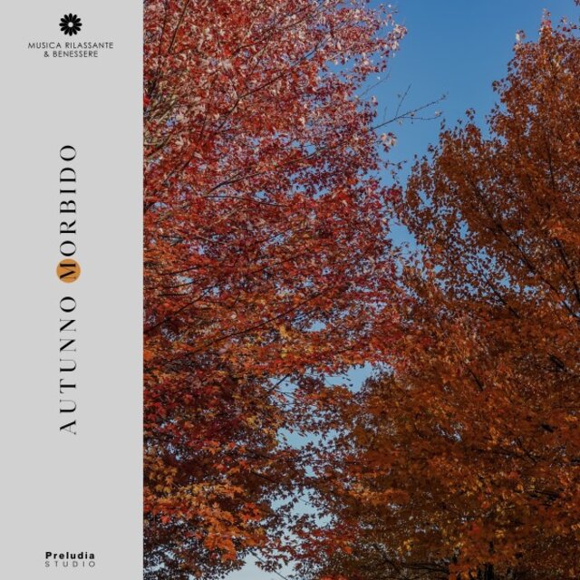 Autunno Morbido