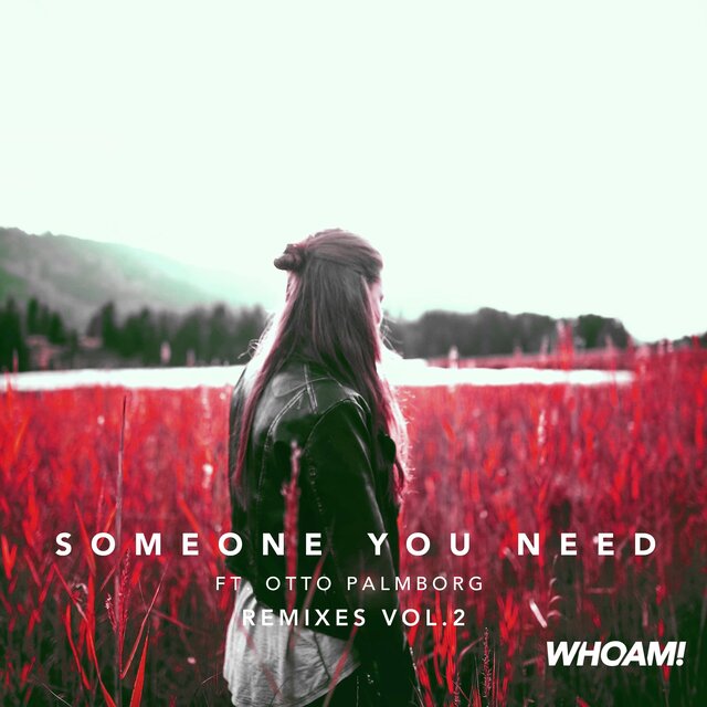 Someone You Need (Remixes, Vol.2)