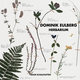 Cover art for album Herbarium by Dominik Eulberg