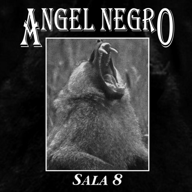 Sala 8