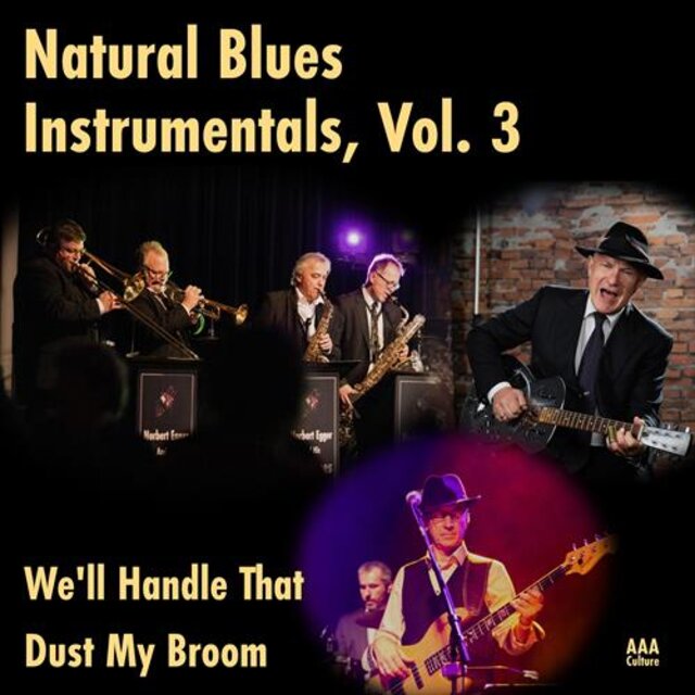 Natural Blues Instrumentals, Vol. 3
