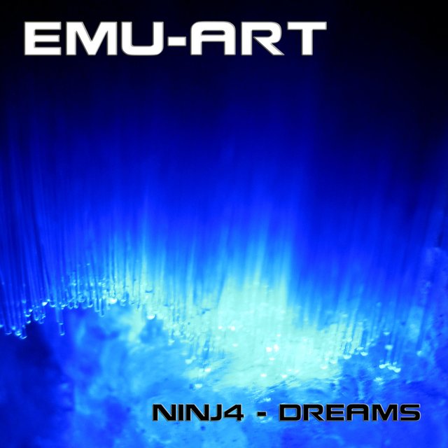 N1NJ4 - Dreams