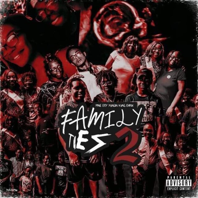 Family Ties 2