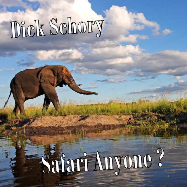 Safari Anyone