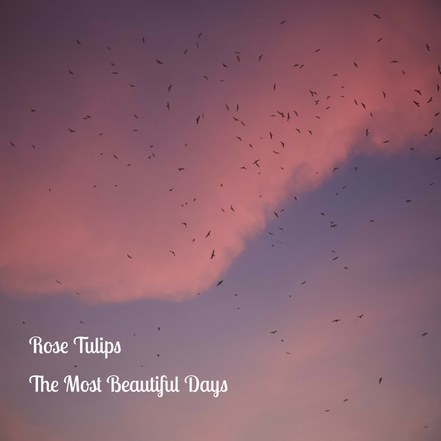 The Most Beautiful Days