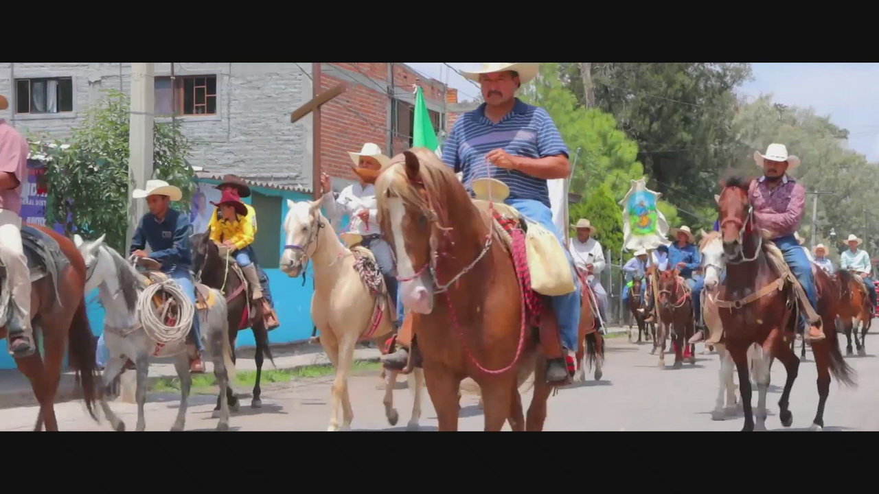 El Palo Verde