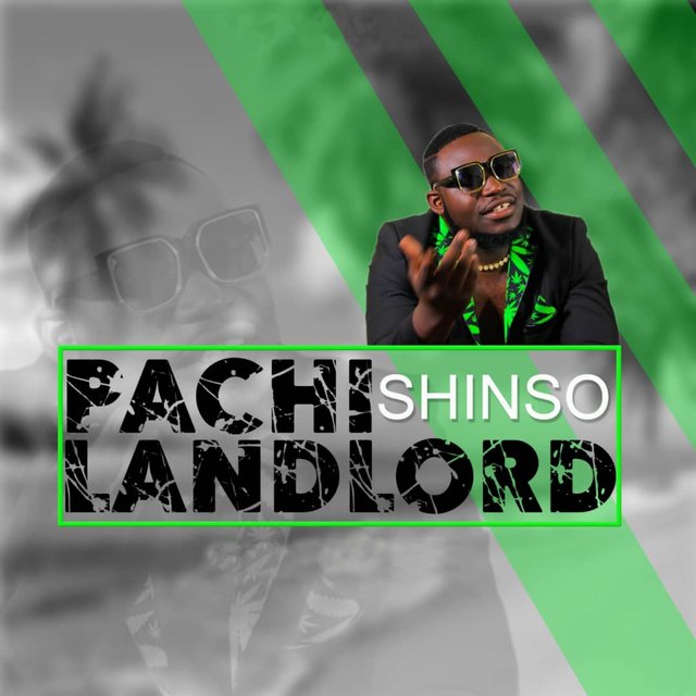 Pachilandlord