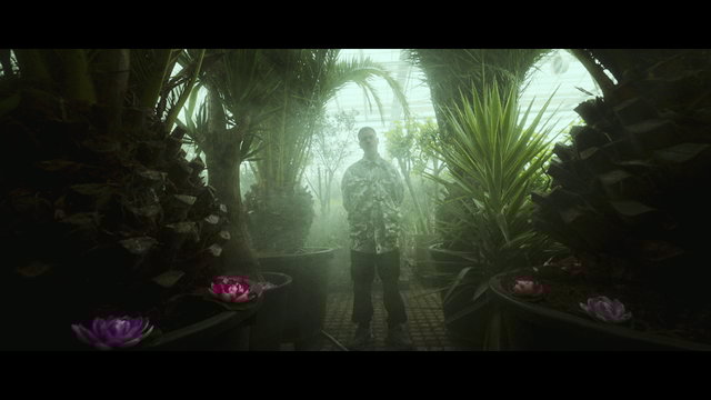 LOTUS