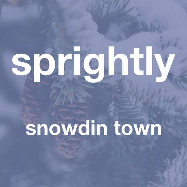 Snowdin Town (from 