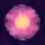 Blooming Field