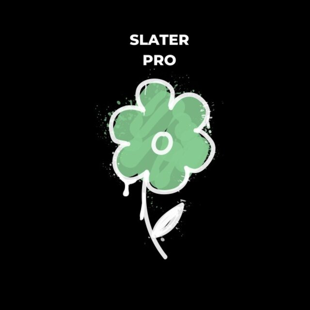 Pro
