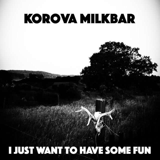 I Just Want to Have Some Fun