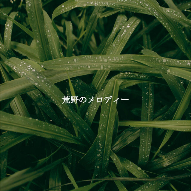 荒野のメロディー