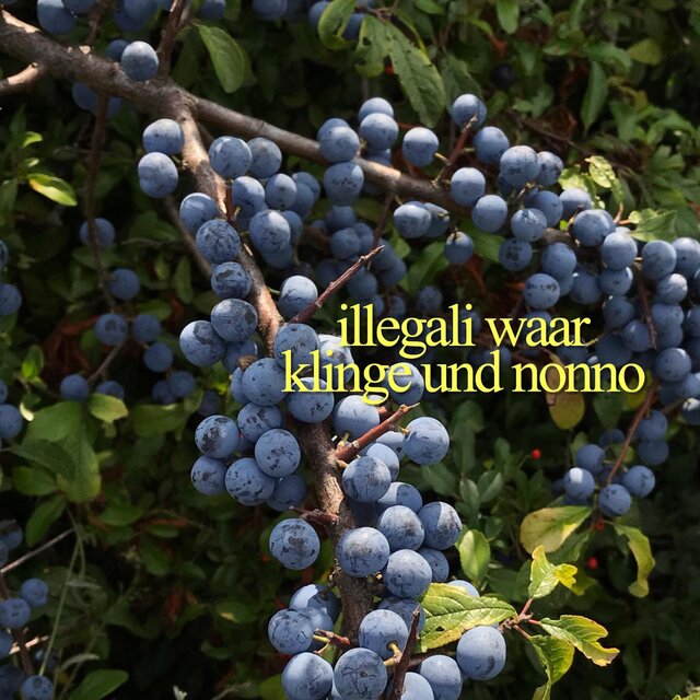 Illegali Waar
