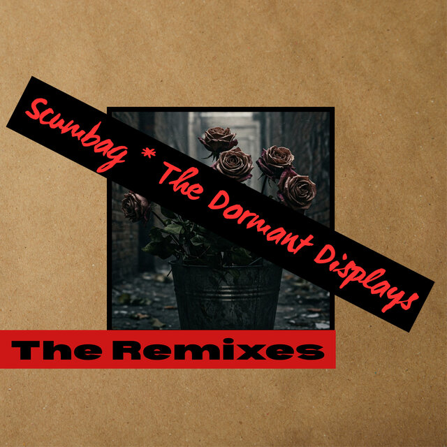 Scumbag (The Remixes)